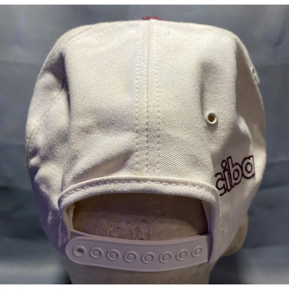 VTG Exceed Herbicide Corn Embroidered Logo‎ Snapback Hat Ciba Baseball Cap Farm